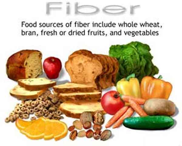 Dietary fiber; Roughage; Fiber, Dietary