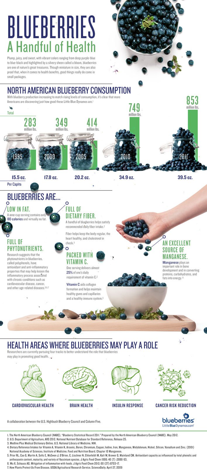 Health-Benefits-of-Blueberries